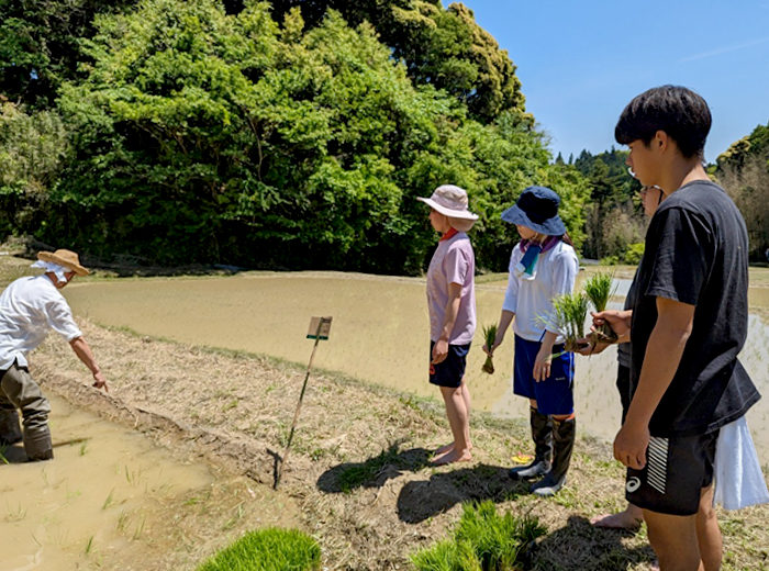 持続的地域貢献活動実習での田植え体験